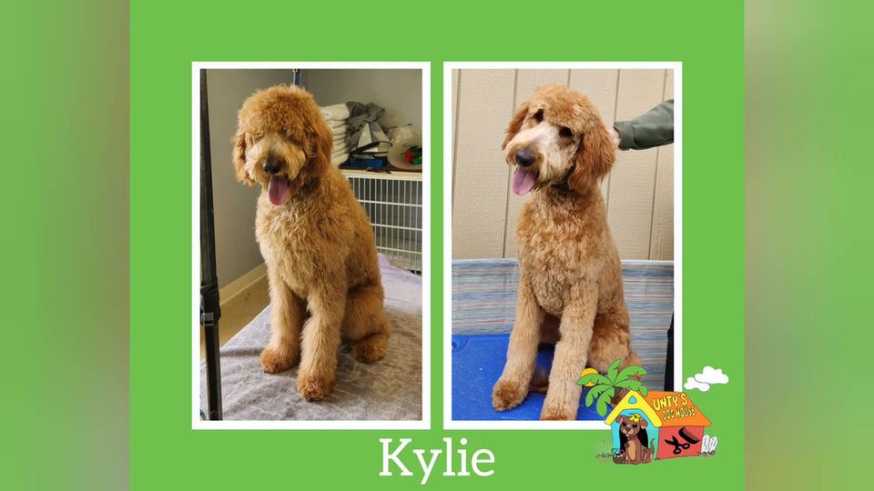 Kylie's 2nd Haircut